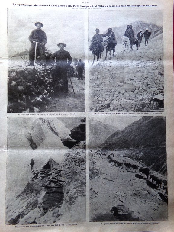 La Domenica del Corriere 25 Febbraio 1906 Caffè Trifono Galati … | Immagine Gallery 8