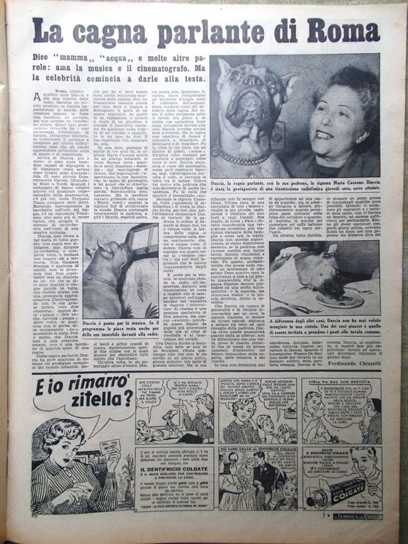 La Domenica del Corriere 26 Ottobre 1952 Cane Parlante Guglielmo … | Immagine Gallery 2