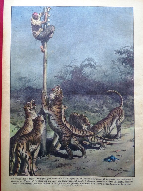 La Domenica del Corriere 27 Giugno 1937 Spagna Rossi Amazzonia … | Immagine Gallery 3