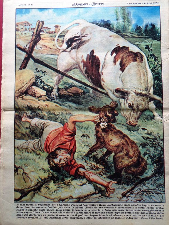 La Domenica del Corriere 3 Agosto 1958 Tragedie Sport Borroni … | Immagine Gallery 3