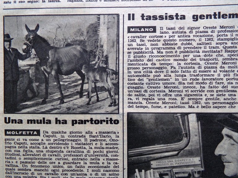 La Domenica del Corriere 3 Agosto 1958 Tragedie Sport Borroni … | Immagine Gallery 4