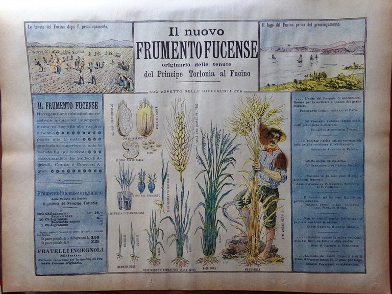 La Domenica del Corriere 3 Settembre 1899 Cividale Frumento Touring …