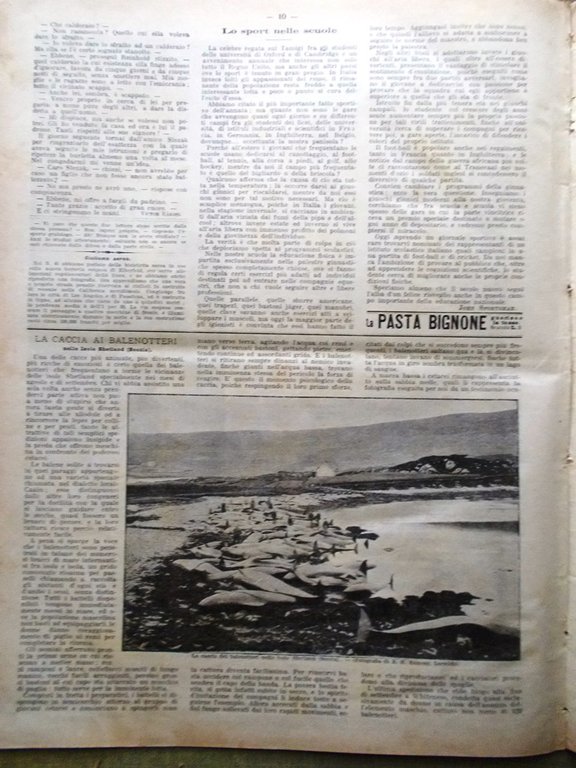 La Domenica del Corriere 30 Dicembre 1900 Cimarosa Sienkiewicz Butti …