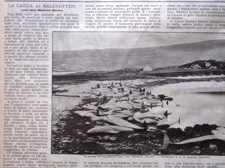 La Domenica del Corriere 30 Dicembre 1900 Cimarosa Sienkiewicz Butti …