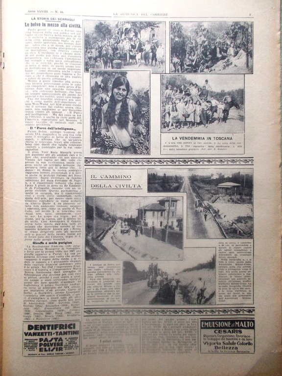 La Domenica del Corriere 31 Ottobre 1926 Coppa Garda Vendemmia …