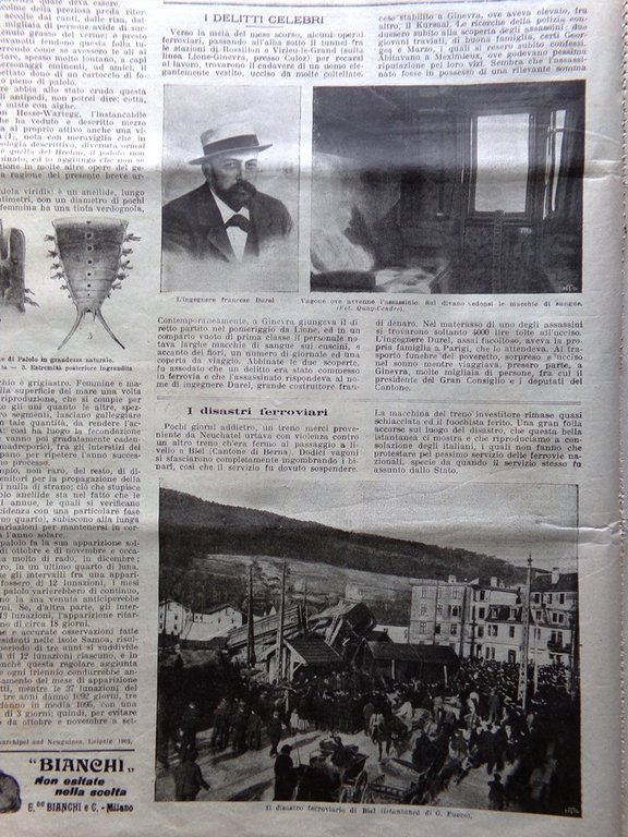 La Domenica del Corriere 4 Febbraio 1906 Alluvioni Calabria Sempione … | Immagine Gallery 2