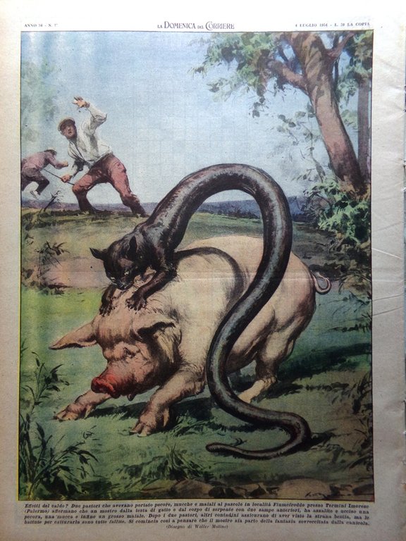 La Domenica del Corriere 4 Luglio 1954 Galilei Collo Cechov … | Immagine Gallery 3
