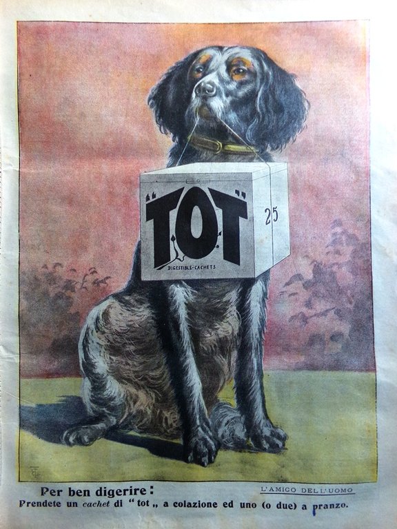 La Domenica del Corriere 4 Novembre 1906 Chartres Kopenick Disastro … | Immagine Gallery 2