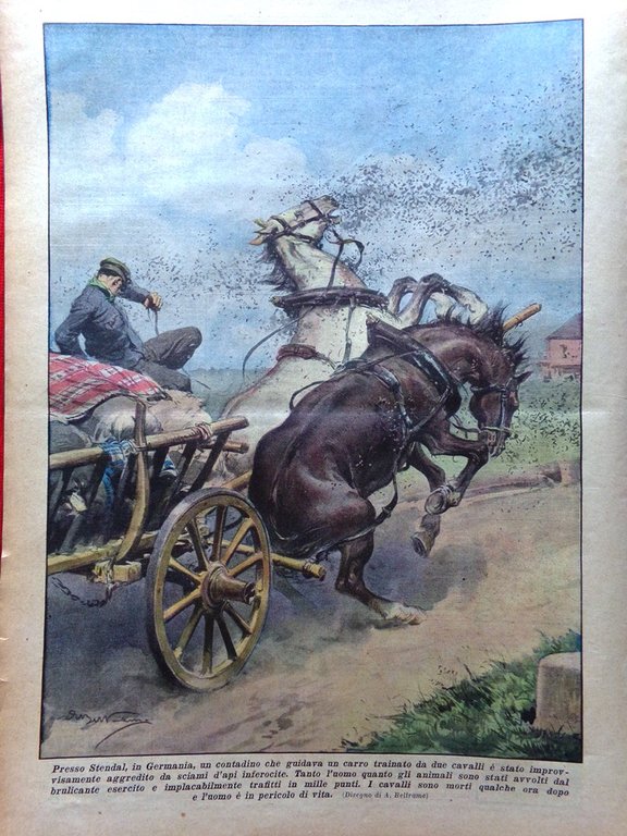 La Domenica del Corriere 6 Giugno 1937 Principe Napoli Africa … | Immagine Gallery 3