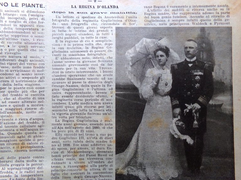 La Domenica del Corriere 6 Marzo 1904 Bennett Cosenza Carnevale … | Immagine Gallery 8