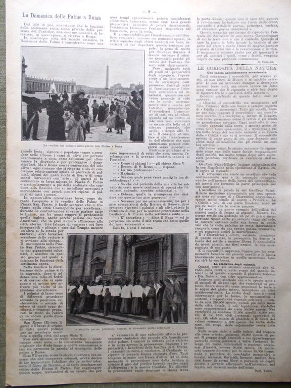 La Domenica del Corriere 8 Aprile 1900 Disastro Bondione Dum-Dum …