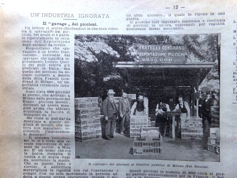 La Domenica del Corriere 8 Luglio 1900 Automobili Momo Duchobory …