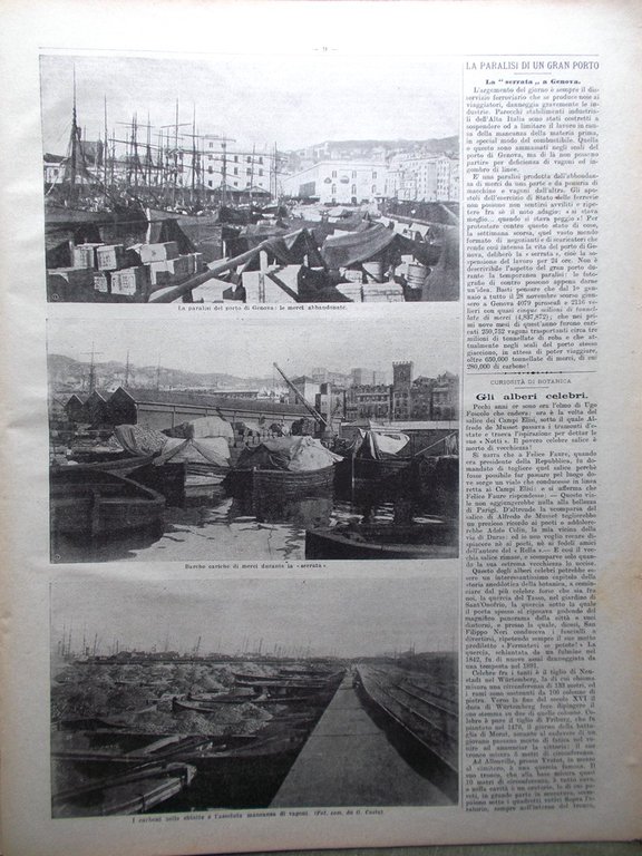 La Domenica del Corriere 9 Dicembre 1906 Carducci Spedizione Peary …