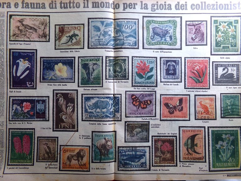 La Domenica del Corriere 9 Ottobre 1955 Teatro Cinese Taylor …