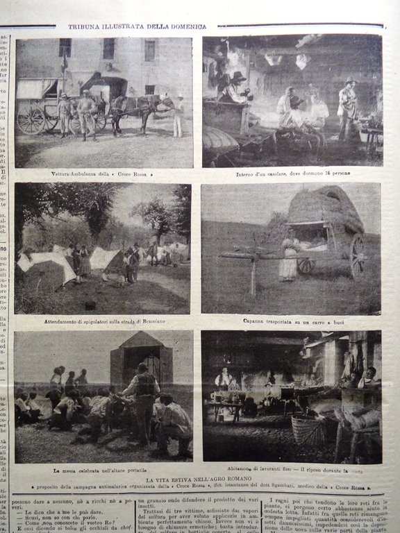 La Tribuna Illustrata 1 Settembre 1901 Coppino Selvatico Contrabbandieri Sovrani