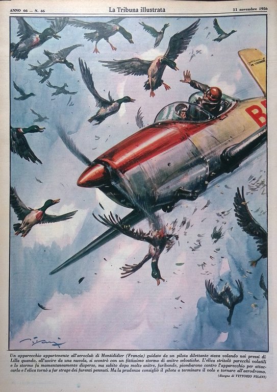 La Tribuna Illustrata 11 Novembre 1956 Guerra Suez Ungheria Leone …