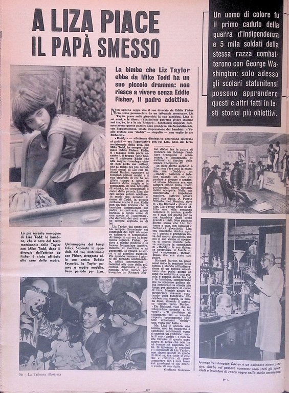 La Tribuna Illustrata 12 Aprile 1964 Tina Louise Paolo VI …