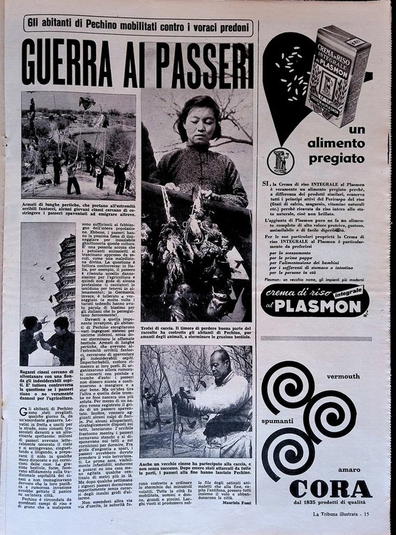 La Tribuna Illustrata 15 Giugno 1958 campagna anti-passeri Barbablù di …