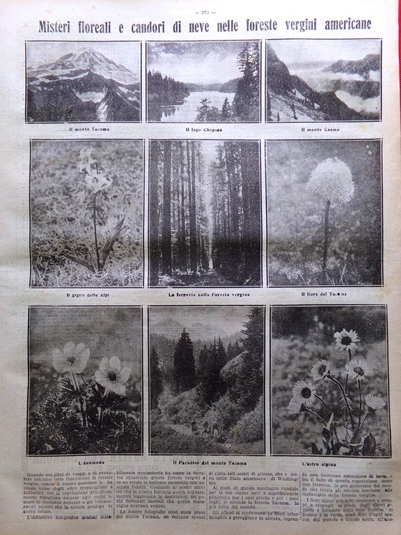 La Tribuna Illustrata 16 Giugno 1912 Foreste Americane Arte Tripolitania …