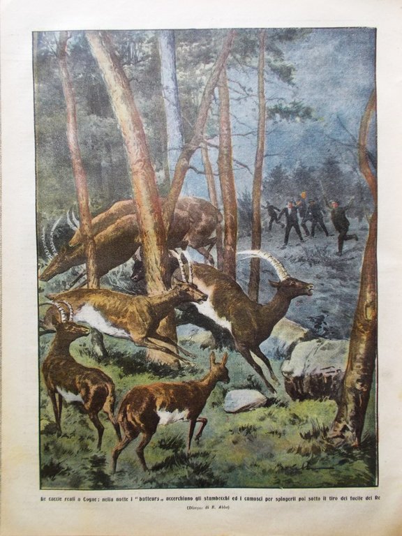 La Tribuna Illustrata 17 Agosto 1913 Ferdinando I Eleonora Tsana …