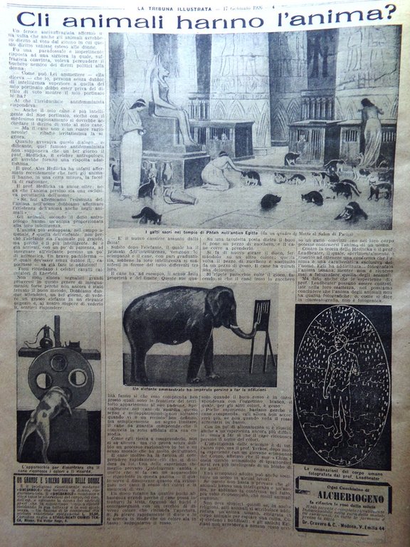 La Tribuna Illustrata 17 Gennaio 1926 Funerali di Margherita Savoia … | Immagine Gallery 4