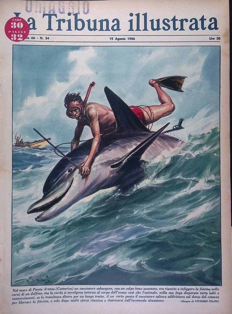 La Tribuna Illustrata 19 Agosto 1956 Leone Sauli Petterson Acqua …