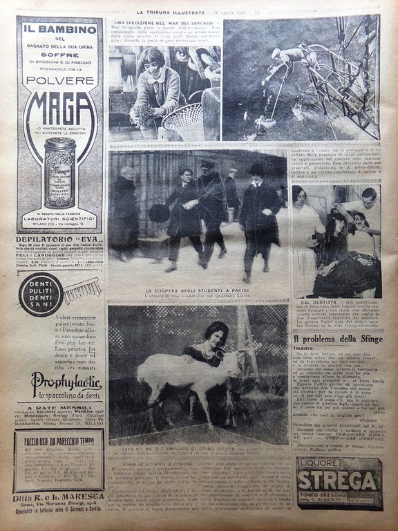 La Tribuna Illustrata 19 Aprile 1925 Duilio Cinofilia Scavi di …