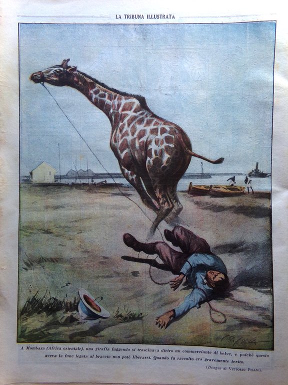 La Tribuna Illustrata 21 Febbraio 1926 Cacciatori Teste Giarabub Regine … | Immagine Gallery 3