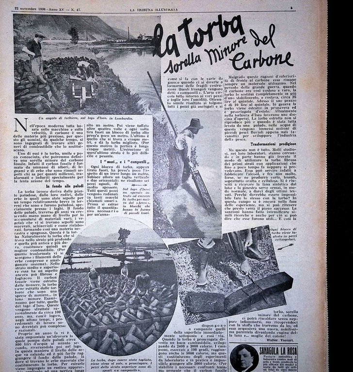 La Tribuna Illustrata 22 Novembre 1936 Duce Lotta Madrid Torba …