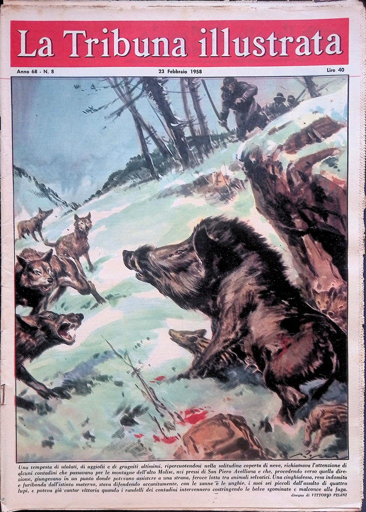 La Tribuna Illustrata 23 Febbraio 1958 Tragedia Manchester United Monaco …