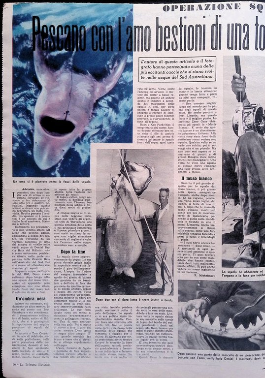 La Tribuna Illustrata 23 Novembre 1958 Vittoriano Sardou Rockefeller Ann …