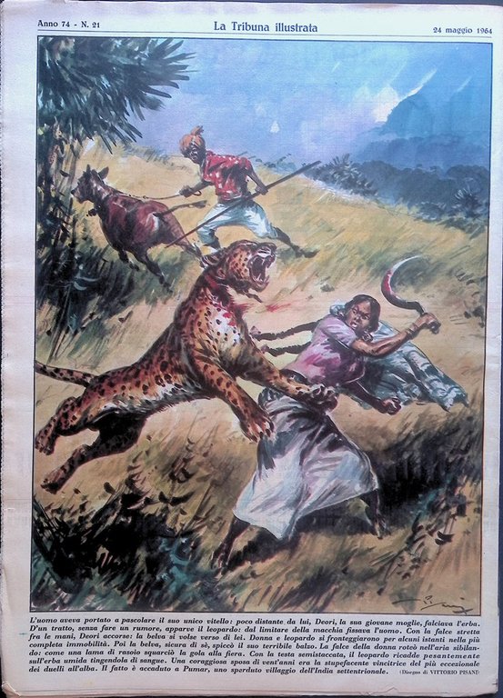 La Tribuna Illustrata 24 Maggio 1964 Pumar Assuan Times Walker …