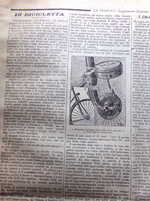 La Tribuna Illustrata 28 Maggio 1893 Jacob Moleschott Palestro Bicicletta …