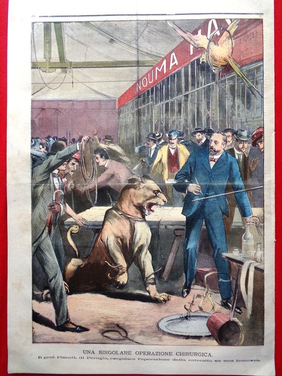 La Tribuna Illustrata 28 Maggio 1899 Regata di Venezia Sottosegretari …