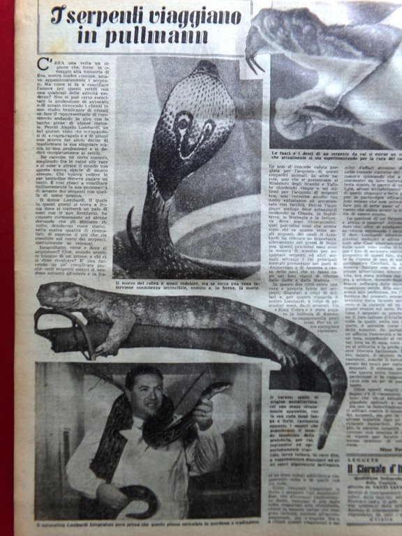 La Tribuna Illustrata 28 Novembre 1948 Bandito Giuliano Chiang Kai-shek … | Immagine Gallery 4