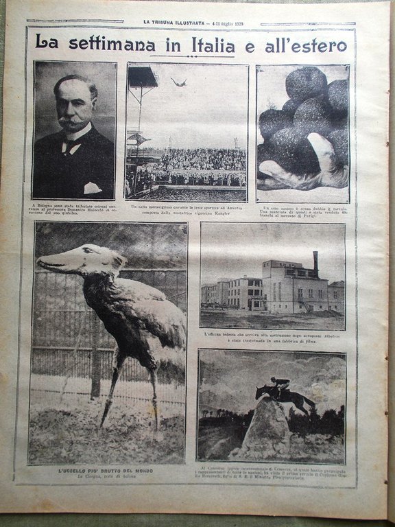 La Tribuna Illustrata 4 Luglio 1920 Danzica Bologna Bavaresi Maiocchi …