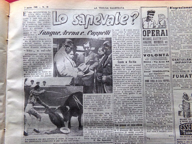 La Tribuna Illustrata 7 Marzo 1948 Ferracin Campione Mazzola Trogloditi … | Immagine Gallery 2