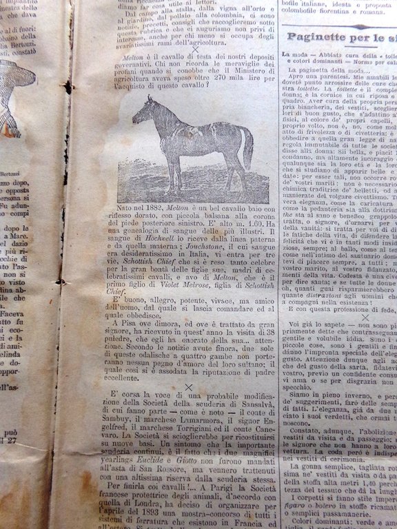 La Tribuna Illustrata 8 Gennaio 1893 Assassinio di Pisa Pasteur …