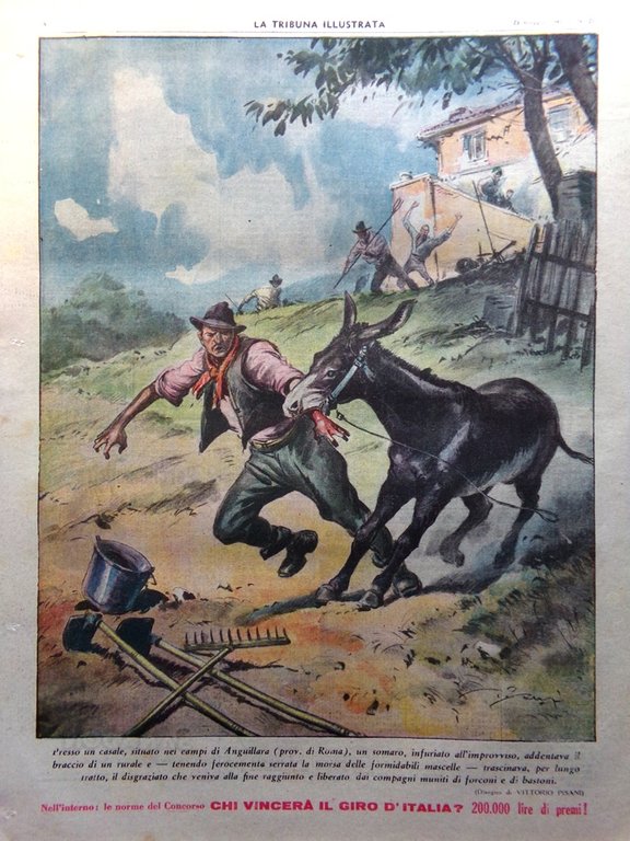 La Tribuna Italia Illustrata 25 Maggio 1947 Incendio Minerva Film …