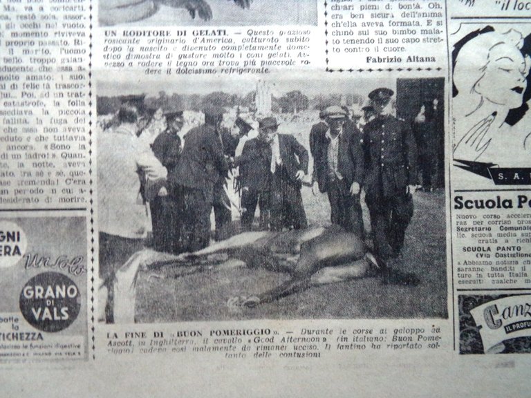 La Tribuna Italia Illustrata 27 Luglio 1947 Cavie Umane Sidoli …