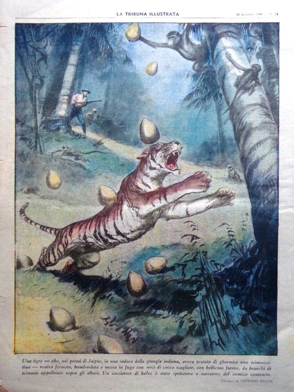 La Tribuna Italia Illustrata 28 Dicembre 1947 Natale Nido di …