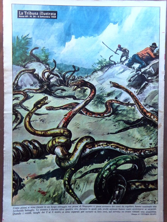 La Tribuna Italia Illustrata 6 Settembre 1959 Bosè Galli Johansson …