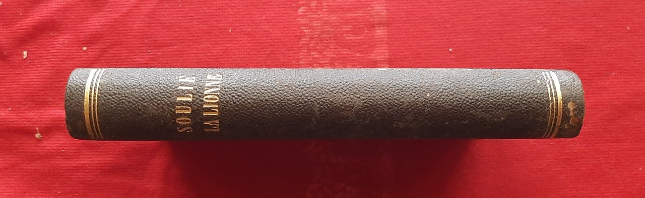 Libro Antico Originale del 1856 di Frédéric Soulié La Lionne …