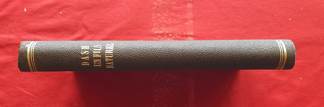 Libro Antico Originale del 1872 di Comtesse Dash Un Fils …