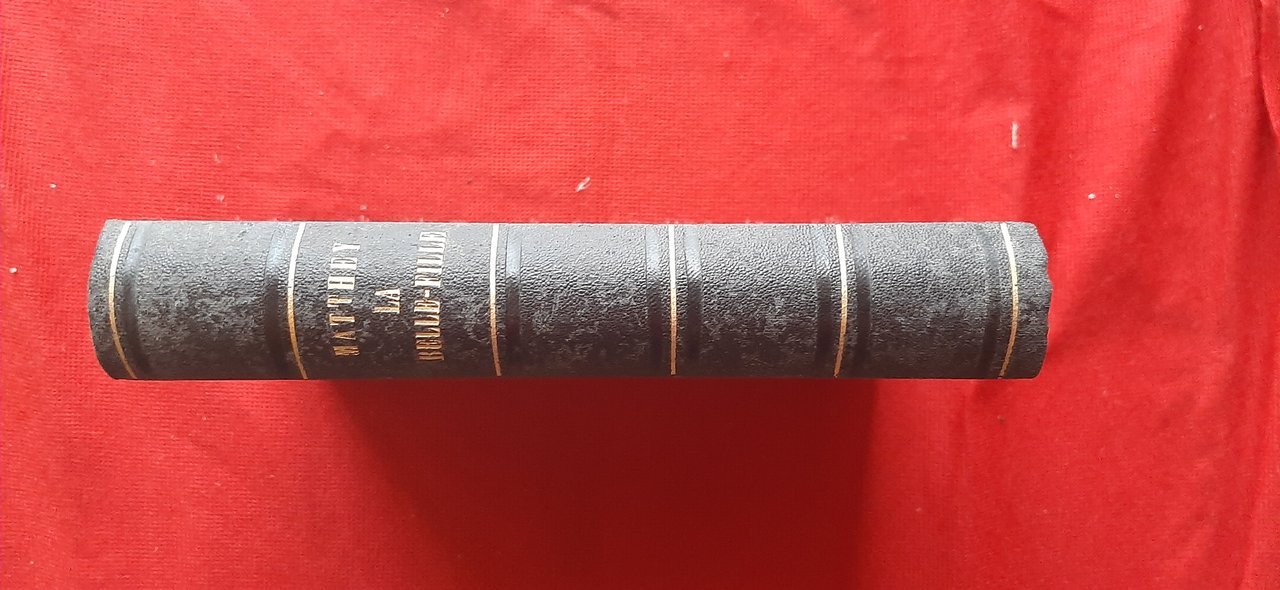 Libro Antico Originale del 1887 di Arthur Arnould Matthey La …