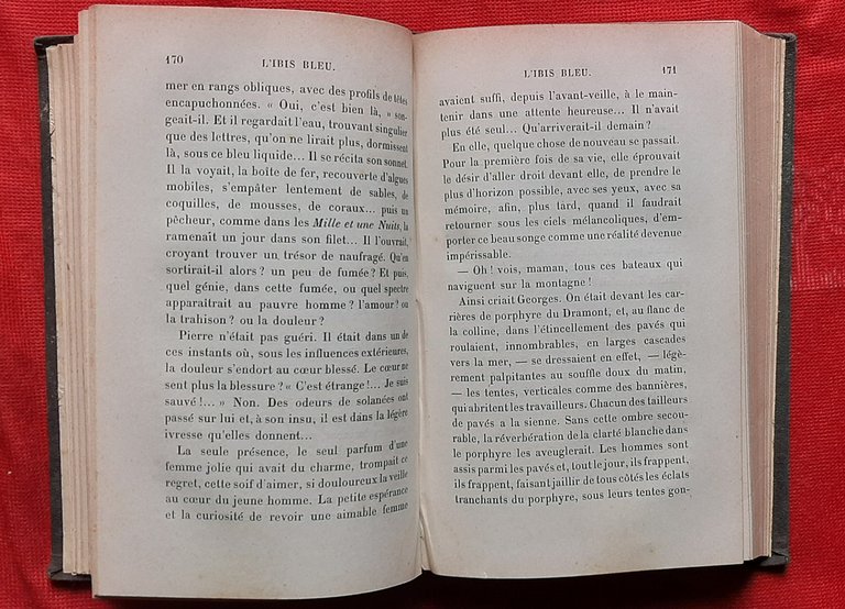 Libro Antico Originale del 1893 di Jean Aicard L'Ibis Bleu …