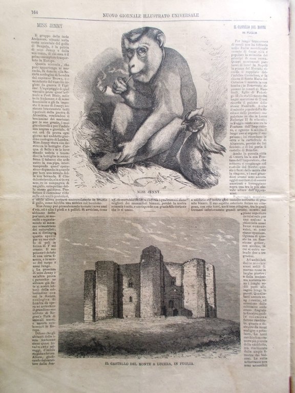 Nuovo Giornale Illustrato Universale 22 Maggio 1870 Morte Moscheles Lucera …
