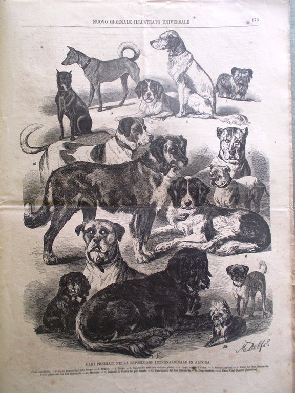 Nuovo Giornale Illustrato Universale 29 Maggio 1870 Bari Charles de …