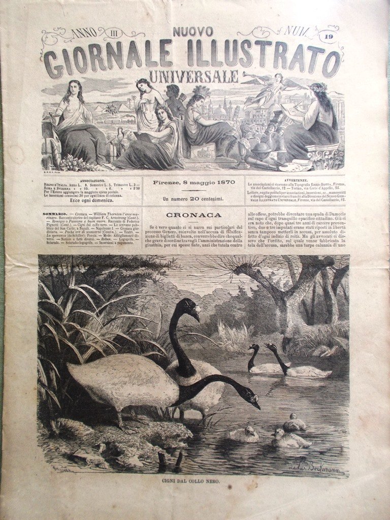 Nuovo Giornale Illustrato Universale 8 Maggio 1870 Napoleone Scrivano San …