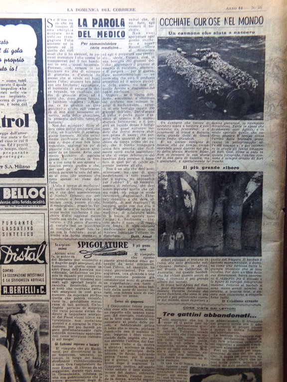 Pagina Anni 40 WW2 Battaglia di Pantelleria Paesi in Guerra …